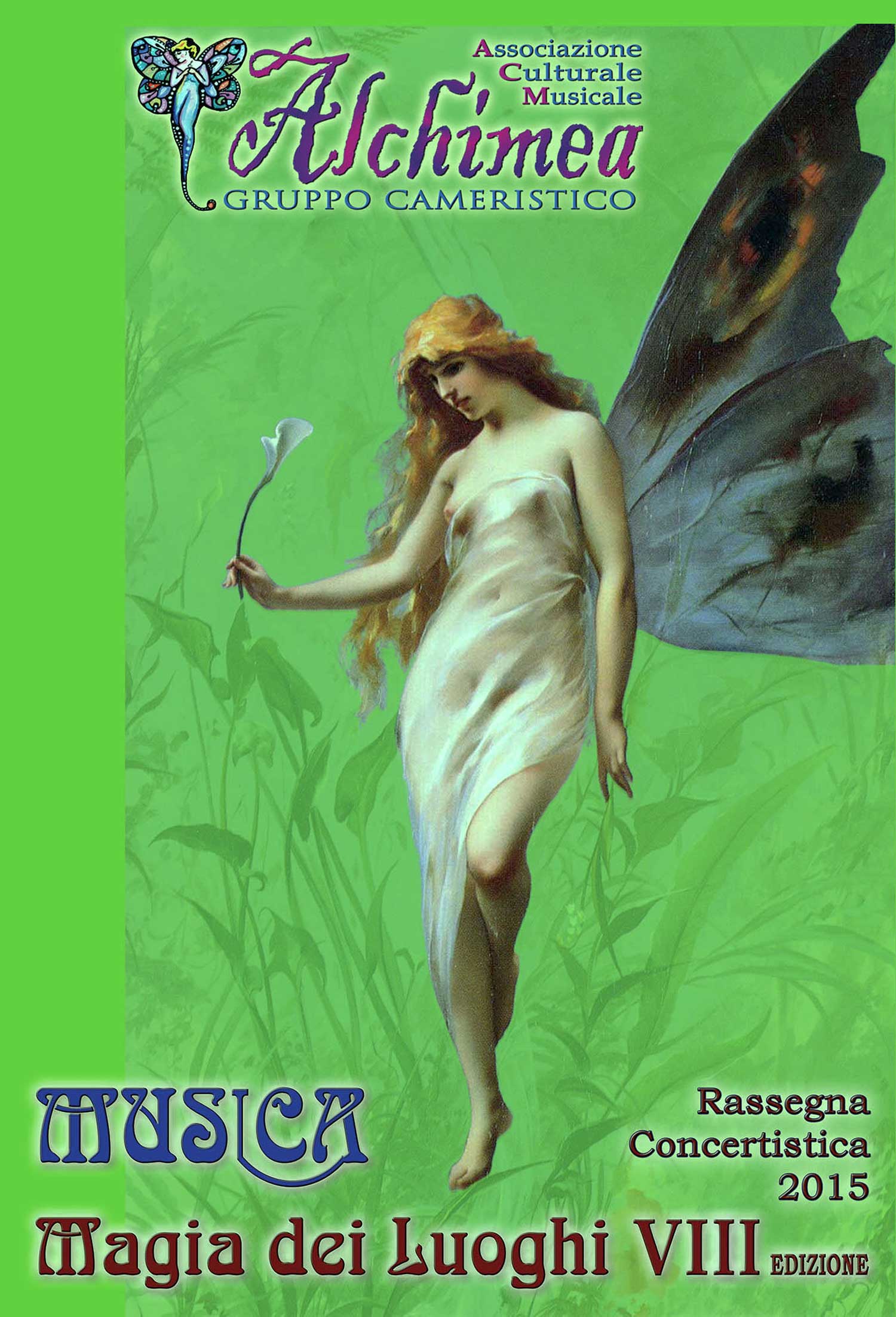 VIII Edizione 2015